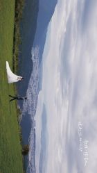 点击看大图 -北遇映画PHOTO GRAPHY STUDIO