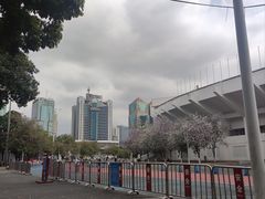 -天河体育中心