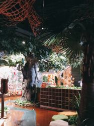 -奇幻丛林(佛罗伦萨小镇店)