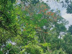 -华南国家植物园-售票处