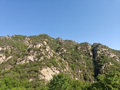 -大岭沟猕猴桃谷风景区