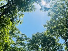 -上海滨江森林公园
