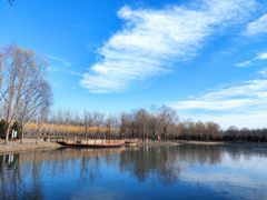 -东郊湿地公园