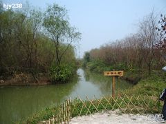 -大湾区中央湿地公园