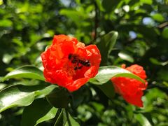 -苏州河梦清园环保主题公园