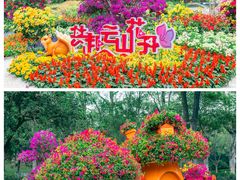 -广州市白云山风景名胜区