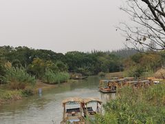 -上海长兴岛郊野公园