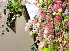 -深圳国际园林花卉博览园