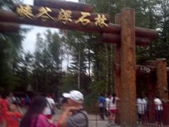 -峡谷浮石林景区