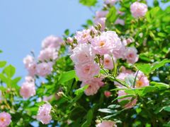-T80科技文化国际社区-停车场