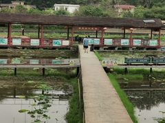 -红山村