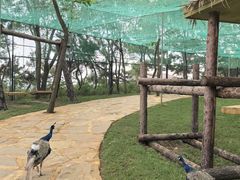 -南戴河国际娱乐中心