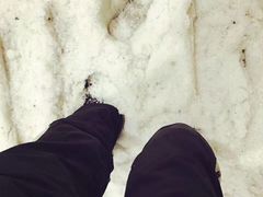 -绍兴启迪乔波冰雪世界