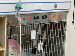 -谐和贝康宠物医院24小时·宠保定点(急重症转诊中心)