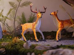 -蘭奢雅集·江浙菜(青山江滩店)