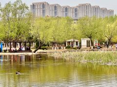-前关湿地公园