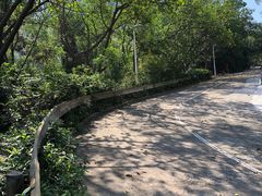 -大雁山风景区