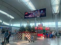 -胡志明新山一国际机场