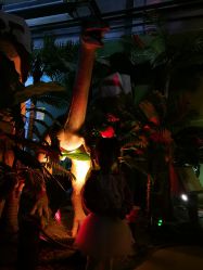 -恐龙探索乐园(磁器口店)