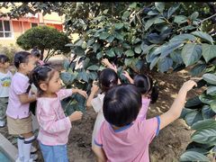 -井德幼儿园(泰达园)