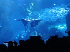 -哈尔滨波塞冬海底世界