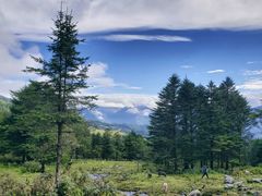 -硗碛藏寨·神木垒景区