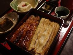 -料亭菊水楼