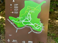 -上海佘山国家森林公园天马山园