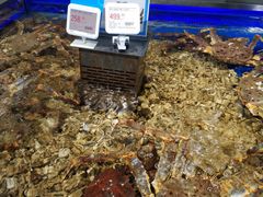 -盒马鲜生(昆城店)