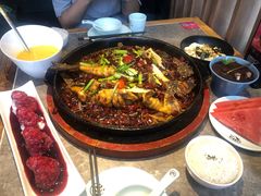 -老板恋上鱼(恒隆广场店)