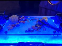 -大华锦绣假日酒店·锦味餐厅