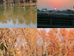 -上海长兴岛郊野公园