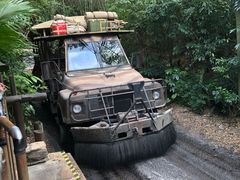 -奥兰多迪士尼动物王国乐园