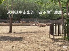-济南野生动物世界