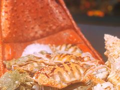 -苏格里岛自助海鲜烤肉(青秀万达店)