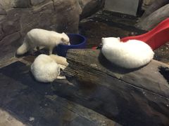 -梦幻海洋王国(吾悦广场张家港店)