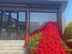 -阳台山自然风景区