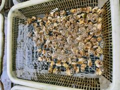 -后田海鲜餐厅(南澳香湖湾店)