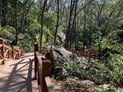 -大岭沟猕猴桃谷风景区