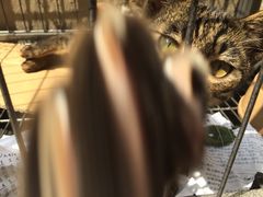 iphone_upload_pic-沐恩堂