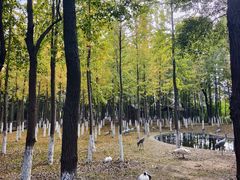 -艾溪湖湿地公园