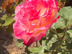 -北京植物园南门售票处