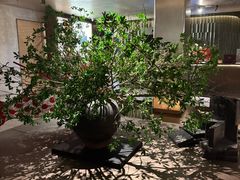 -隐溪茶馆(静安寺店)