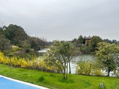 -宜兴龙背山森林公园