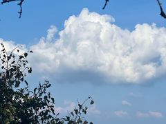 -牛背梁国家森林公园