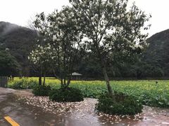 -广州市石门国家森林公园