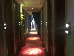 -康道天地(九六广场店)