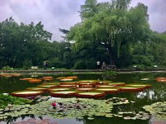 -国家植物园南园