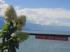 -野菌皇海景野生菌火锅(滨海大道店)