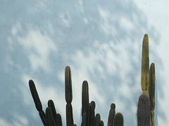 -三圣花乡旅游区